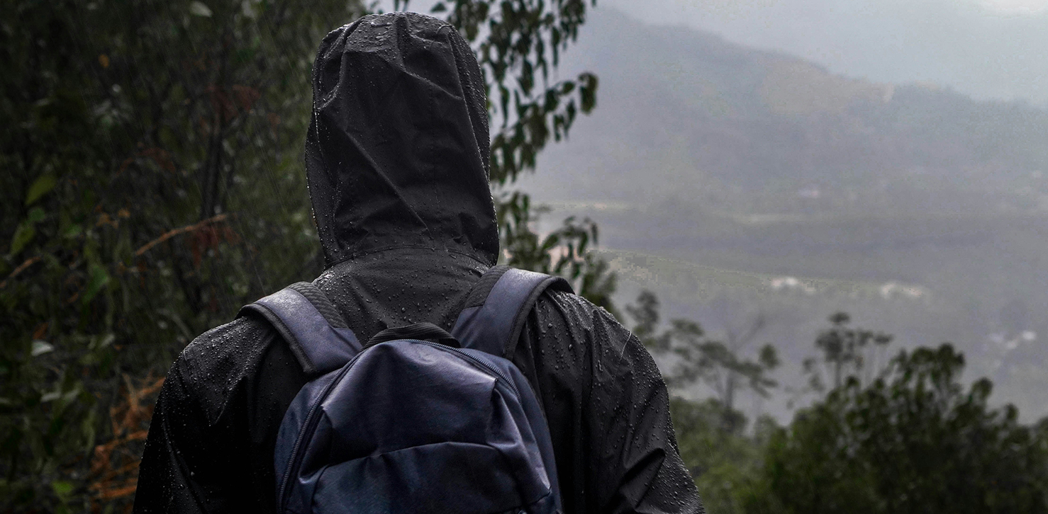 Person wearing black rain jacket facing forward while looking at the forest