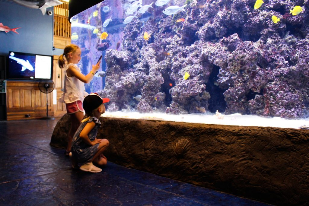 Children looking at a big aquarium exhibit