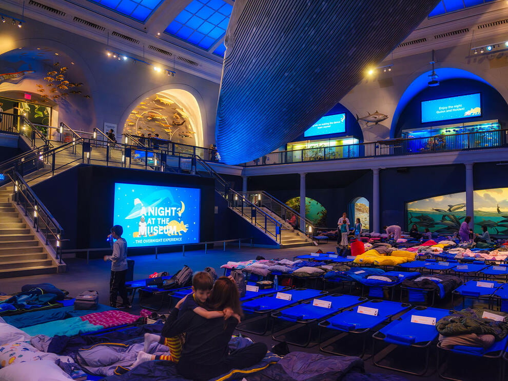 Children and families participating in a sleepover at a museum